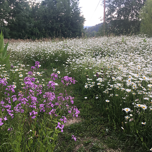 NaturLieb Gärten