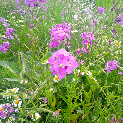 NaturLieb Gärten